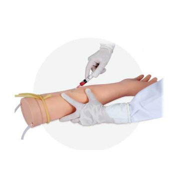Modelo de braço para injeções intravenosas