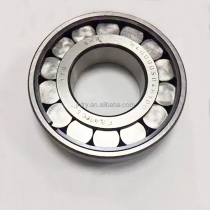 SNR Brand Single Row Cylindrical Roller Bearing N40000S04H100