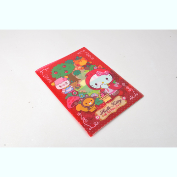 Pasta pp de 2 bolsos