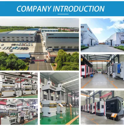 Powdered Animal Licking Salt Block Pressing: Utilizing Hydraulic Press Technology