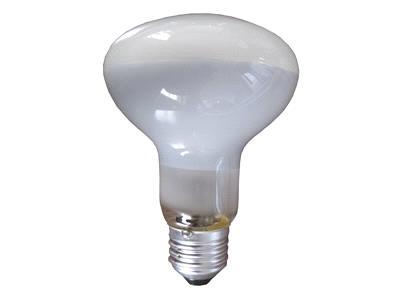 Reflector Bulb R95 Frosted E27 25-150W 220V