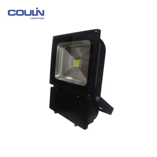 China Professional Supplier Led Floodlight Housing Casting