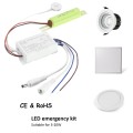 Security LED lamp emergency driver