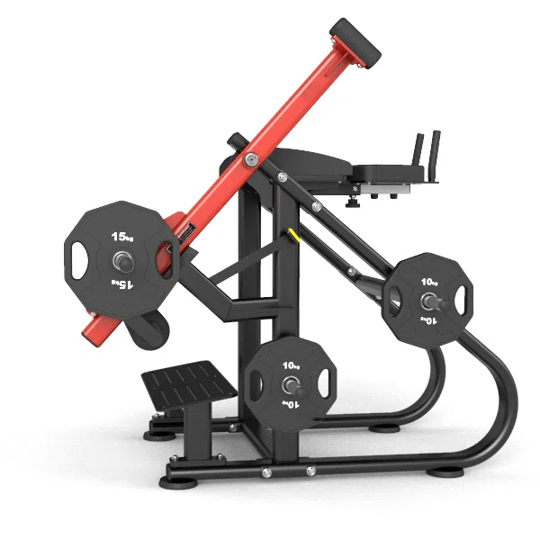 Reverse Hyper Extention Machine