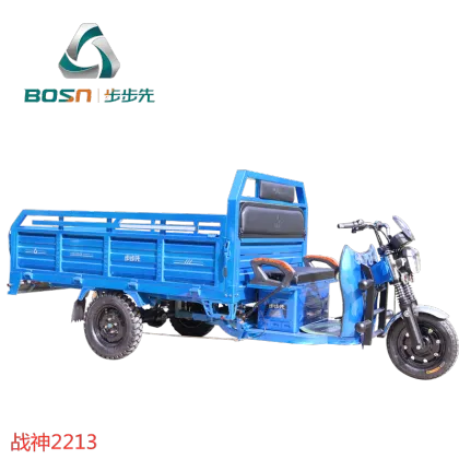 Electric Cargo Tricycle Cargo Electric Trike