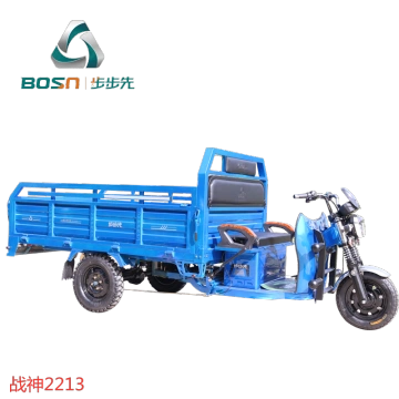 cargo electric trike