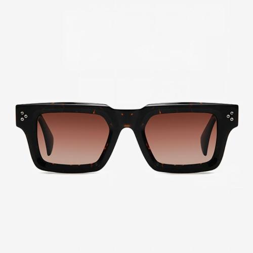 Wide Paddle Temples Bold Acetate Sunglasses