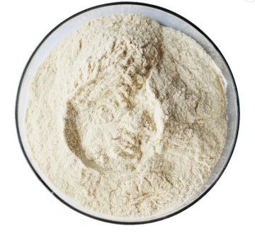 Natto Extract Powder Nattokinase Enzymes Powder