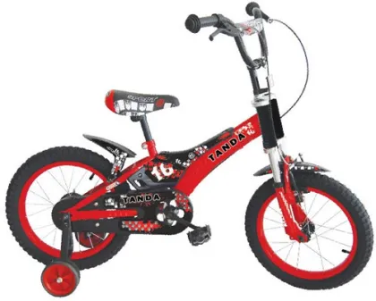 Bicycle Sport 16 Inch