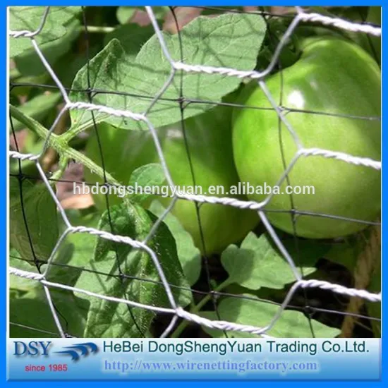 2016 China alibaba Galvanized hexagonal wire mesh(manufacturer)