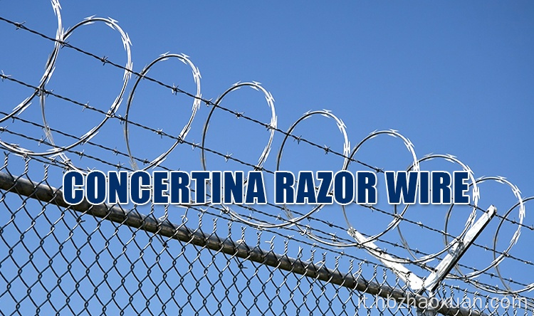 Galvanizzato Razor Bisped Wire per recinzione carceraria
