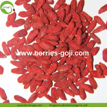 Lose Weight Fruit Nutrition Natural Tibetan Wolfberry