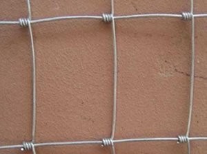 ارتفاع السور قوة الشد المجال