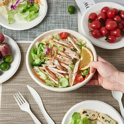 Disposable Food Grade Takeaway Salad Sugarcane Bowl