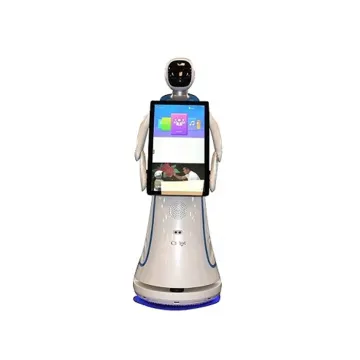 New Learning Service Welcoming Robot