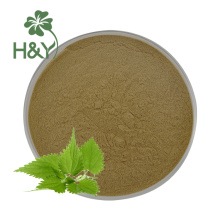 Detoxicate urtica nettle leaf extract powder