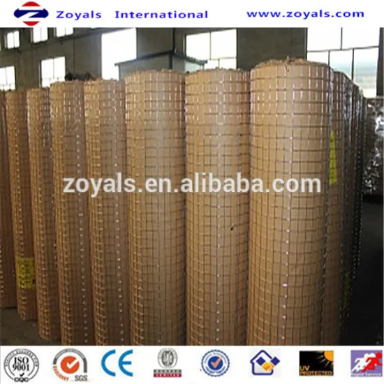 High Quality Stainless Steel Welded Wire Mesh Roll