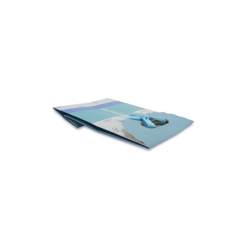 Blue paper handle bag