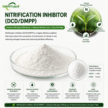 DCD/DMPP Nitrification Inhibitor for Nitrate Leaching