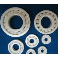 Ceramic Hydraulic Pump Bearings