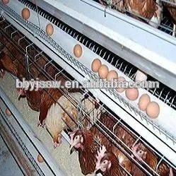 New Design Best Sale Egg Chicken Layer Cage Design