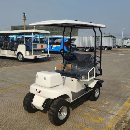 Lead-acid battery electric vehicle