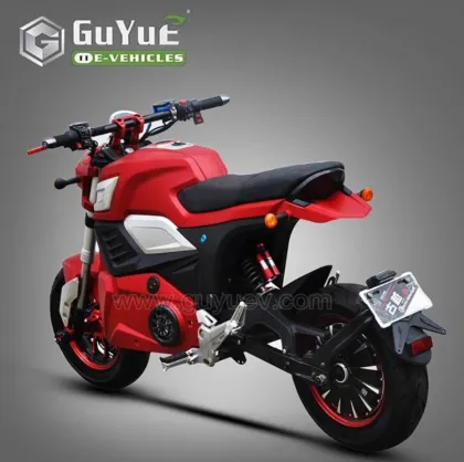 2 Seats Two Wheel Electric Motorcycle