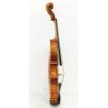 Advanced Europe Wood Violino