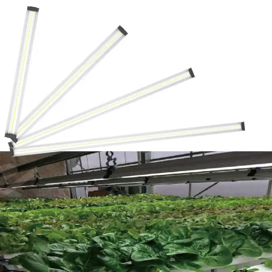 Low Cost T5 6400K Greenhouse Grow Light