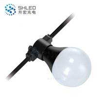 Outdoor Colorful Led Bulb Festoon Lighting