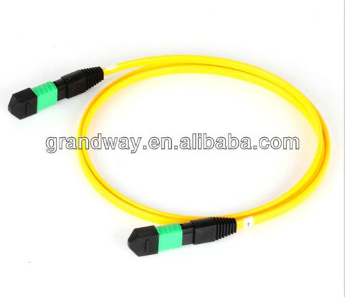 12 cores MPO patch cord