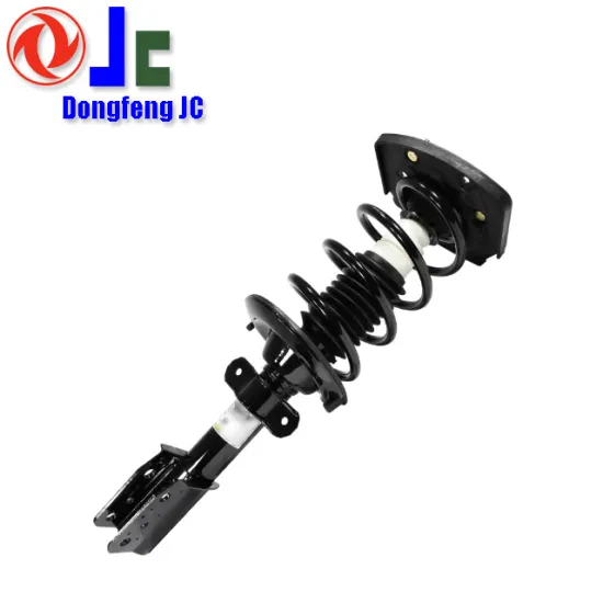 2019 New Design Auto Spare Parts for 97-04 Buick Regal Coilover Manufacturer