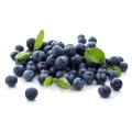Natural Blueberry Extract Blueberry Fruit Powder