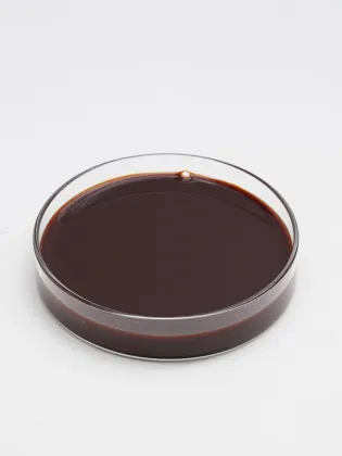 Sea Buckthorn Concentrate for Drinks