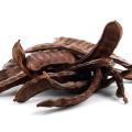Natural Carob Extract Powder