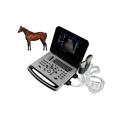 Notebook Color Doppler Ultrasonic Machine pour le cochon de mouton