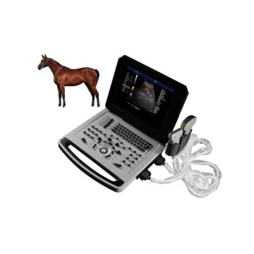 Χρώμα Notebook Doppler Ultrasonic Machine για χοίρο προβάτων