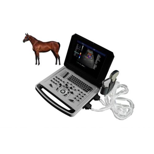 Notebook Color Doppler Ultrasonic Machine for Sheep Pig