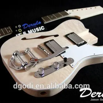 electric guitar kit and other guitar accessory