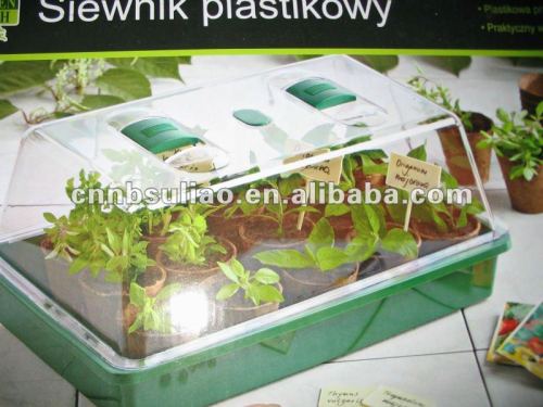 plastic mini green house