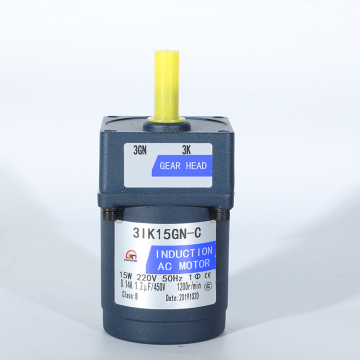 220V 40W Induction Motor: Small Electric Gear Motor for Conveyor Belt Applications