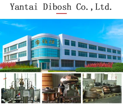 10L Whisky Distillation System: Small Whisky Still Distillation Equipment