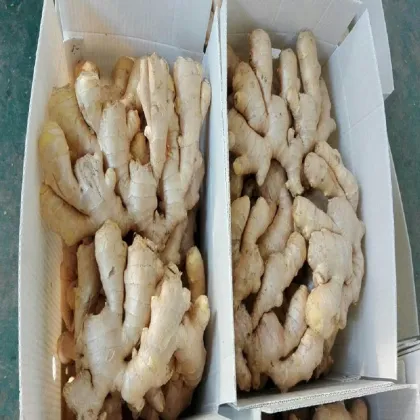 Air Dried Ginger to South Africa Mkt