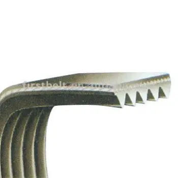 Ribbed V-Belt
