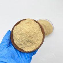 21％ポリフェレス硫酸PFS CAS 10028-22-5