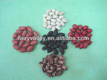 High Yield Peanut Plant Seeds For Growing