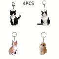 Gerçekçi Kedi Akrilik Anahtarlık Seti 4'lü Paket