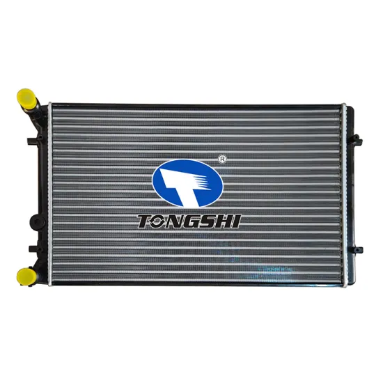 OEM 1J0121253S Water Auto Radiator for VW GOLF IV (1J1) 2.3 V5 00/1
