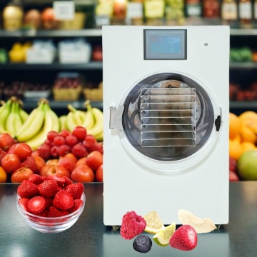 Compact 2kg Freeze Dried Fruits and Coffee Drying Equipment for Home Use