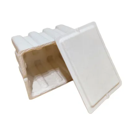 Sugarcane Biodegradable Disposable Serving Trays With Lids